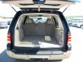 2003 Black Clearcoat Ford Expedition Eddie Bauer  photo #7