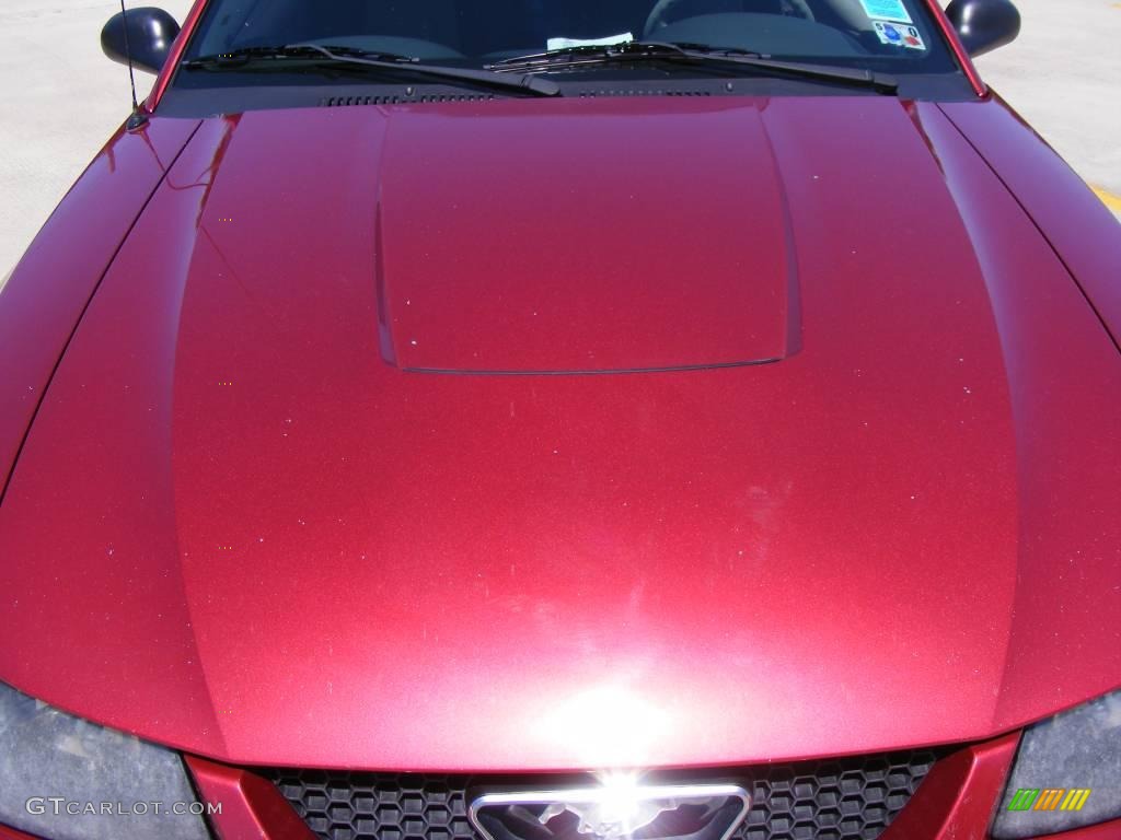 2003 Mustang V6 Coupe - Redfire Metallic / Medium Graphite photo #9