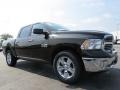 Black Gold Pearl Coat - 1500 Big Horn Crew Cab Photo No. 4