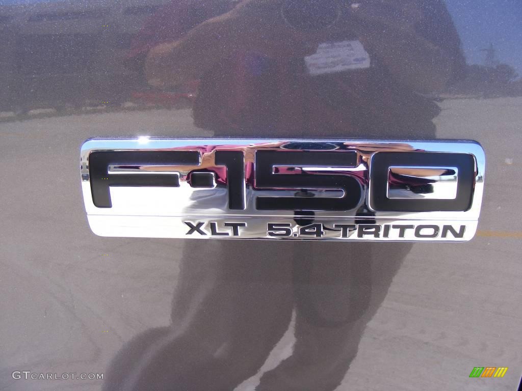 2005 F150 XLT SuperCrew - Dark Shadow Grey Metallic / Medium Flint Grey photo #14