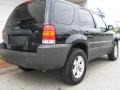 2006 Black Ford Escape XLT V6 4WD  photo #3