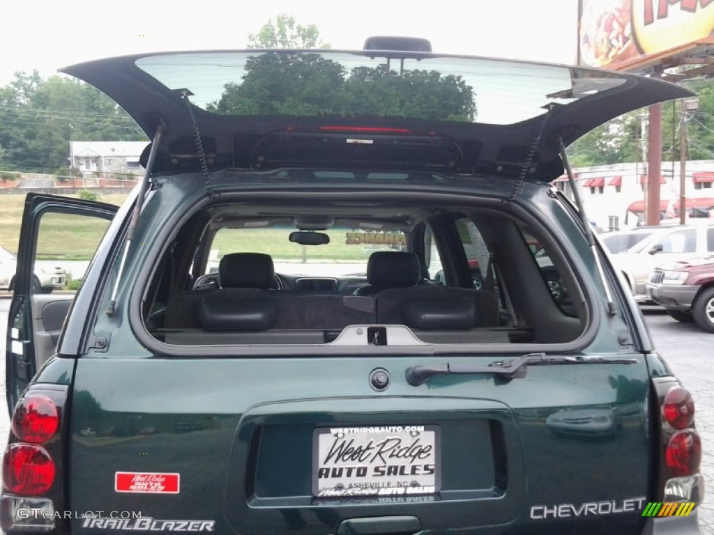 2002 TrailBlazer LT 4x4 - Forest Green Metallic / Dark Pewter photo #14