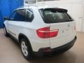 Alpine White - X5 3.0si Photo No. 6