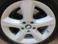Alpine White - X5 3.0si Photo No. 12