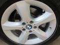 Alpine White - X5 3.0si Photo No. 13