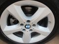 Alpine White - X5 3.0si Photo No. 14