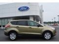 Ginger Ale 2014 Ford Escape S Exterior