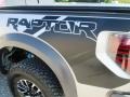 2014 Ingot Silver Ford F150 SVT Raptor SuperCrew 4x4  photo #37