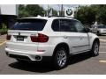 Alpine White - X5 xDrive35i Sport Activity Photo No. 3