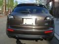 Beryllium 16 - FX 45 AWD Photo No. 5