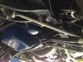 Presidential Blue Metallic - Mustang GT 428 Fastback Photo No. 19