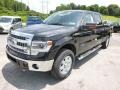 2014 Tuxedo Black Ford F150 XLT SuperCrew 4x4  photo #4