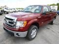 2014 Sunset Ford F150 XLT SuperCab 4x4  photo #4