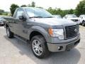 Sterling Grey - F150 STX Regular Cab 4x4 Photo No. 2