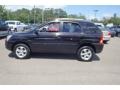 Black Cherry - Sportage LX Photo No. 8