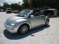 Reflex Silver Metallic - New Beetle GLS Convertible Photo No. 24