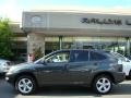 2007 Flint Gray Mica Lexus RX 350 AWD  photo #3