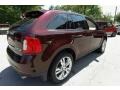 Bordeaux Reserve Red Metallic - Edge Limited AWD Photo No. 11