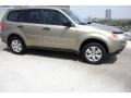  2009 Forester 2.5 X Topaz Gold Metallic