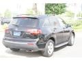 Crystal Black Pearl - MDX Technology Photo No. 9