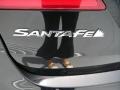 Becketts Black - Santa Fe GLS Photo No. 14