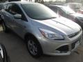 2014 Ingot Silver Ford Escape SE 1.6L EcoBoost  photo #1