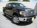 Tuxedo Black - F150 XLT SuperCrew 4x4 Photo No. 2