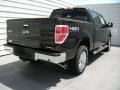 Tuxedo Black - F150 XLT SuperCrew 4x4 Photo No. 4