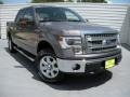 2014 Sterling Grey Ford F150 XLT SuperCrew 4x4  photo #1