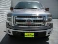 2014 Sterling Grey Ford F150 XLT SuperCrew  photo #8