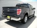 2014 Blue Jeans Ford F150 XLT SuperCrew  photo #4