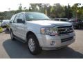 Ingot Silver 2014 Ford Expedition XLT