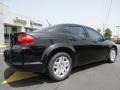 Black Clear Coat - Avenger SE Photo No. 7