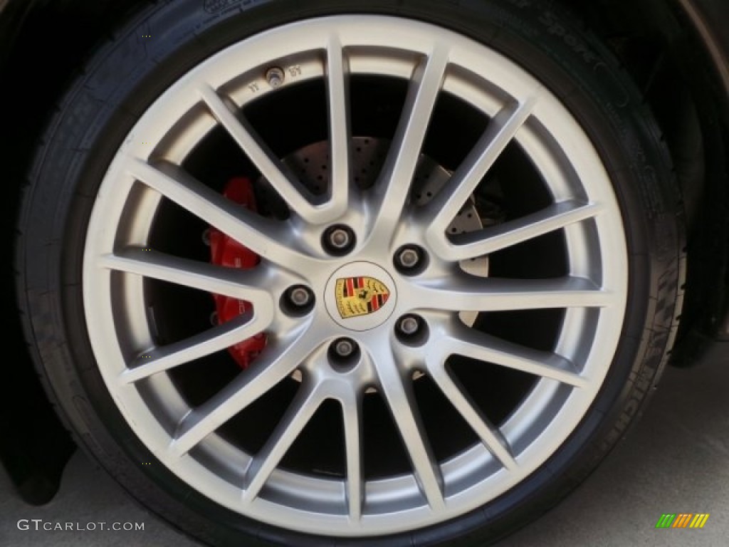 2009 911 Targa 4S - Macadamia Metallic / Sand Beige photo #11