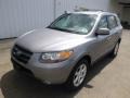 2007 Steel Gray Hyundai Santa Fe SE 4WD  photo #2