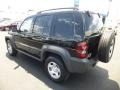 Black - Liberty Sport 4x4 Photo No. 5