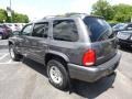 Graphite Metallic - Durango SLT 4x4 Photo No. 7