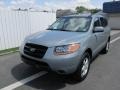 Steel Gray - Santa Fe GLS 4WD Photo No. 10