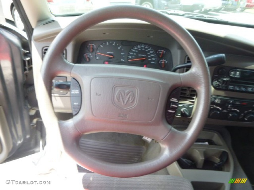 2002 Durango SLT 4x4 - Graphite Metallic / Dark Slate Gray photo #18