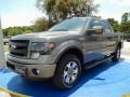 2014 Sterling Grey Ford F150 FX4 SuperCrew 4x4  photo #1