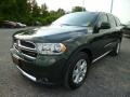 2011 Natural Green Pearl Dodge Durango Express 4x4  photo #3