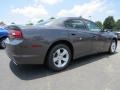 Granite Crystal Metallic - Charger SE Photo No. 3