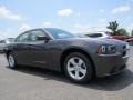 Granite Crystal Metallic - Charger SE Photo No. 12