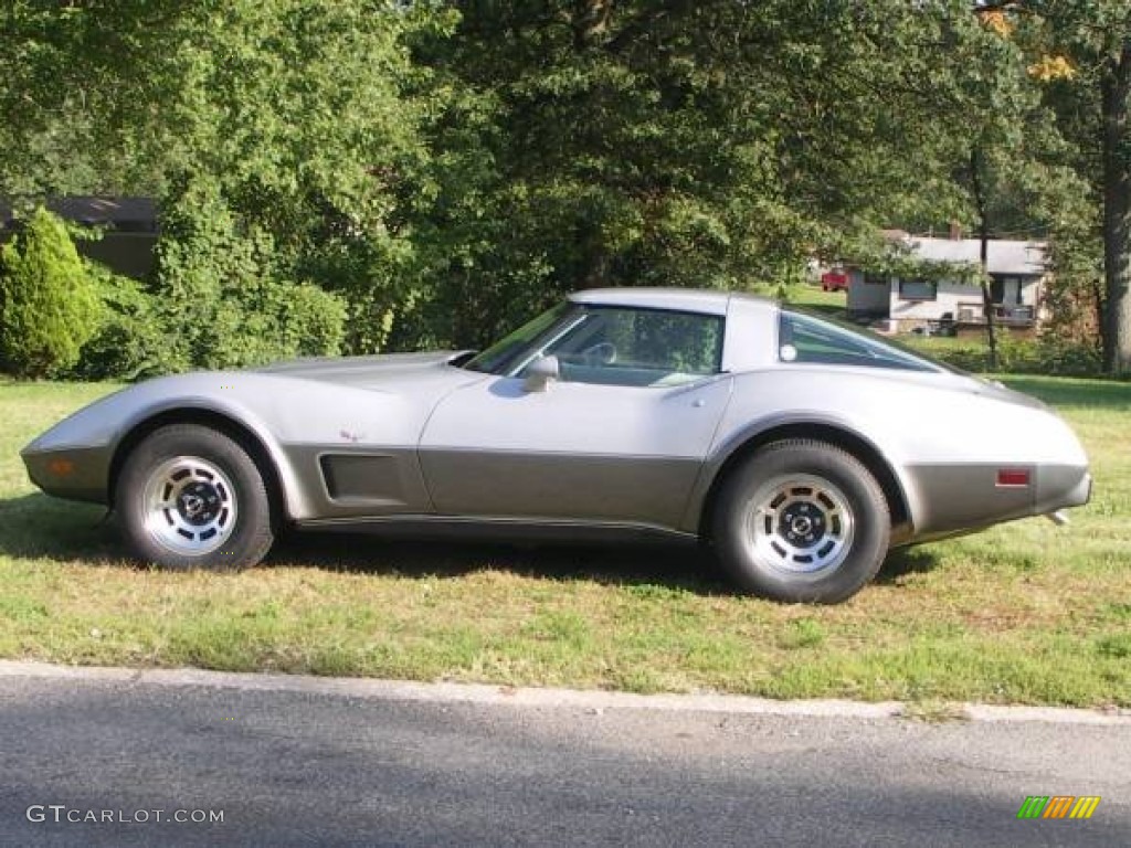 1978 Corvette Anniversary Edition Coupe - Silver Anniversary / Oyster photo #1