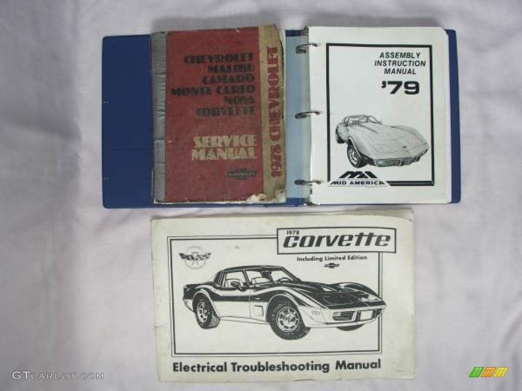 1978 Corvette Anniversary Edition Coupe - Silver Anniversary / Oyster photo #7