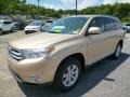 Sandy Beach Metallic - Highlander V6 4WD Photo No. 3