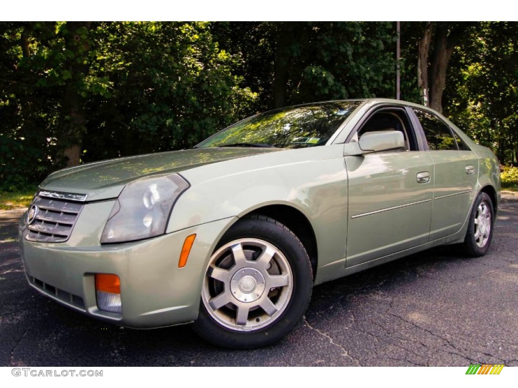 2004 CTS Sedan - Silver Green / Light Neutral photo #1