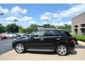 Black - ML 350 4Matic Photo No. 4