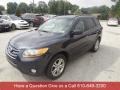 Mineral Gray - Santa Fe Limited AWD Photo No. 7
