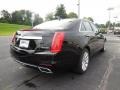 Black Raven - CTS Luxury Sedan AWD Photo No. 5